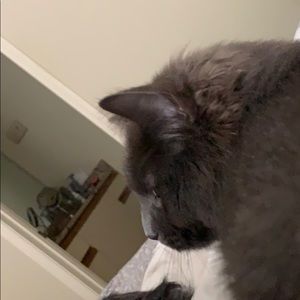 Meet your Posher, Lori